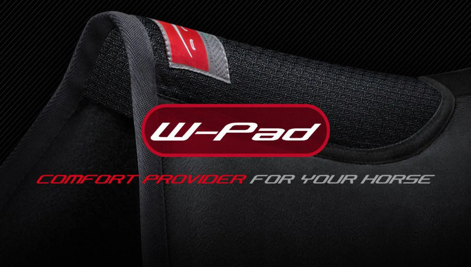 Animo Memory Foam W-Pad