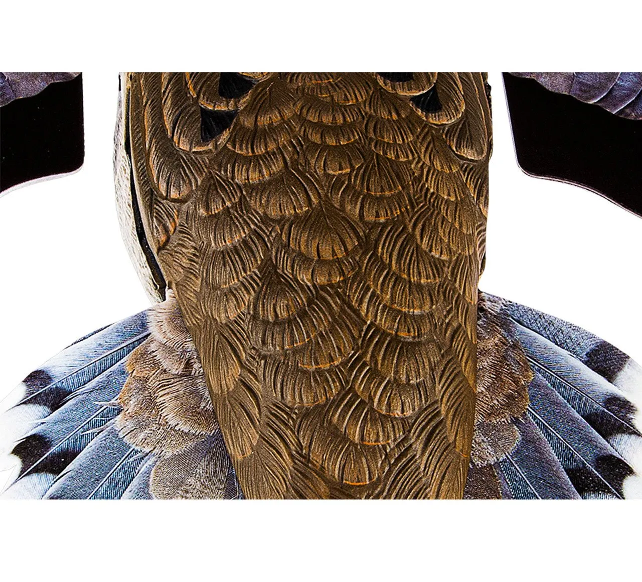 Avian X Powerflight Dove