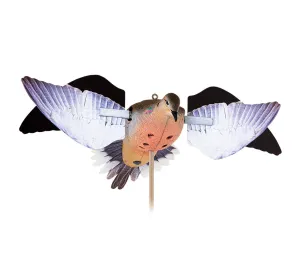 Avian X Powerflight Dove