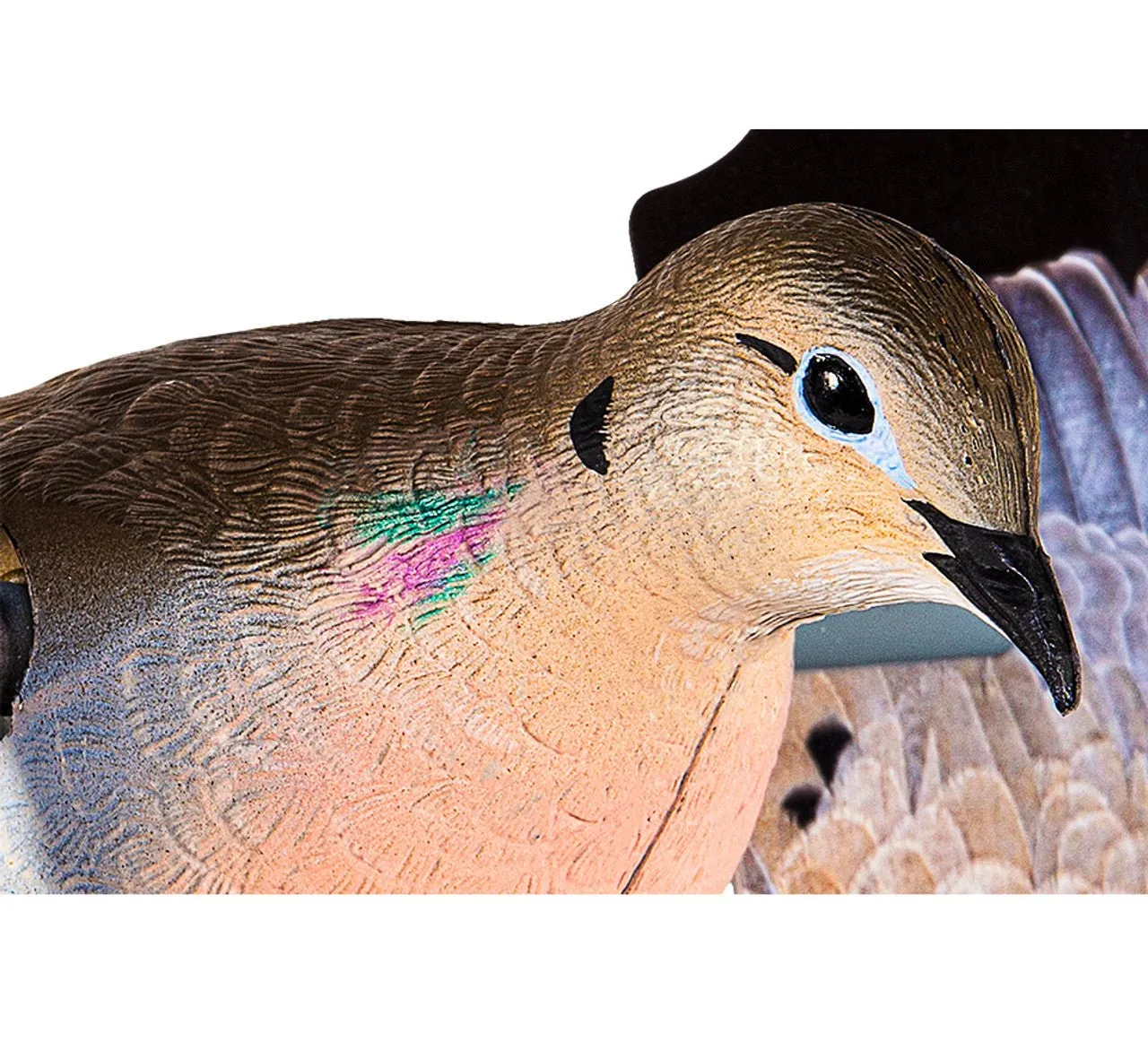 Avian X Powerflight Dove