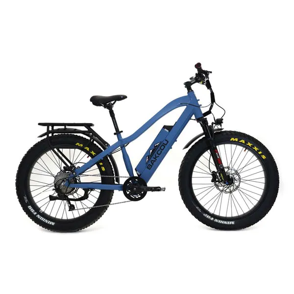 Bakcou E-Bikes