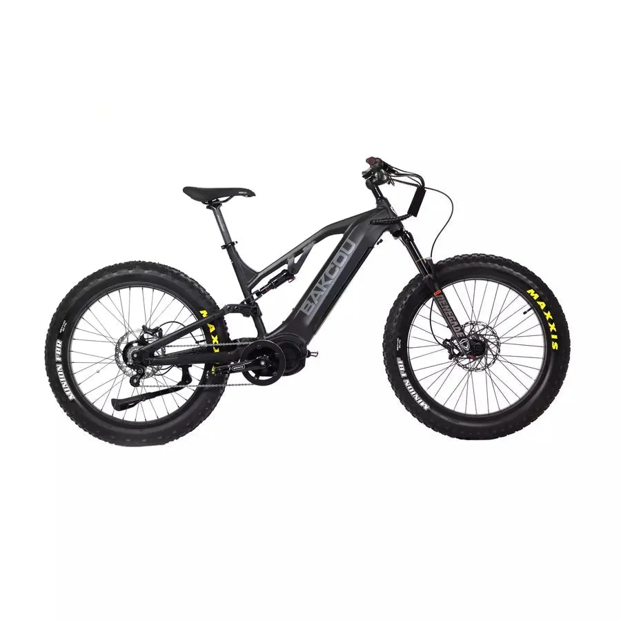 Bakcou E-Bikes