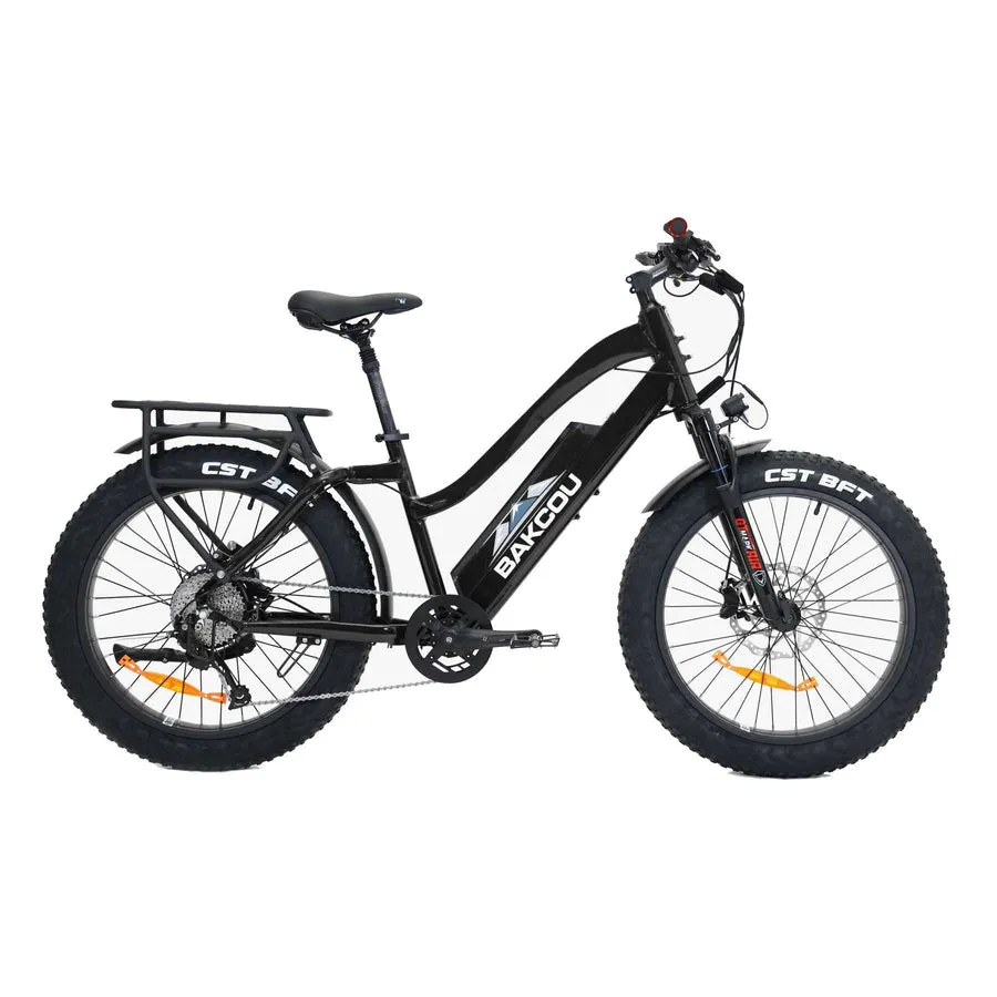 Bakcou E-Bikes