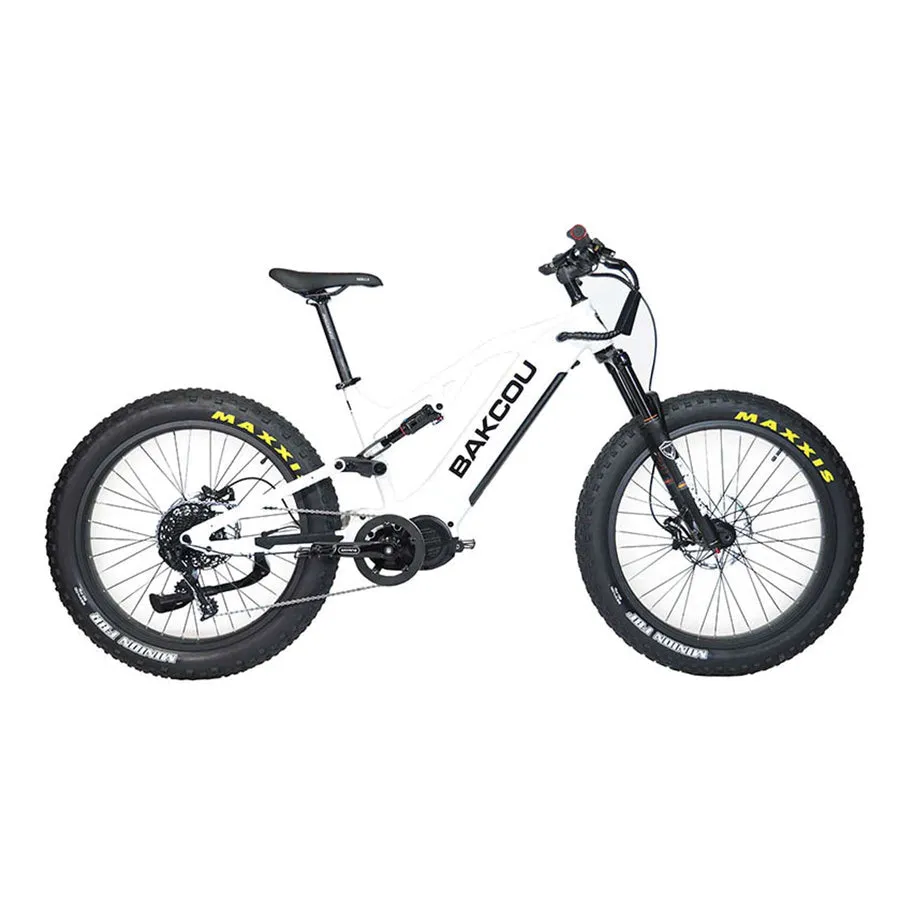 Bakcou E-Bikes