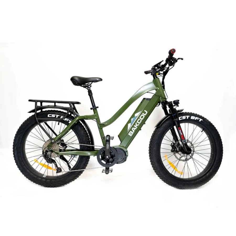 Bakcou E-Bikes