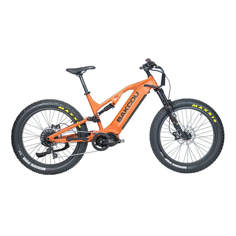 Bakcou E-Bikes