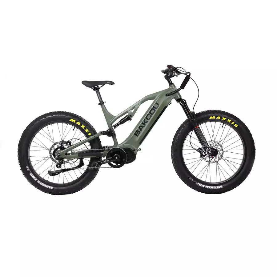 Bakcou E-Bikes