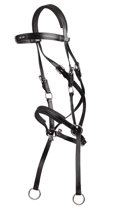 Bitless PVC Bridle