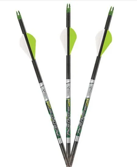CARBON EXPRESS PILEDRIVER ARROW