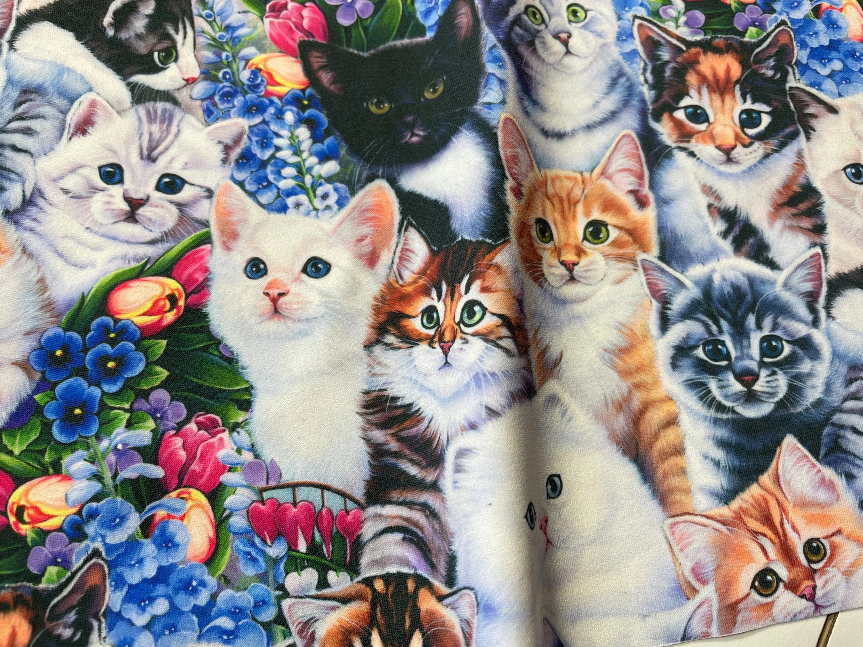 Cats Kittens Leotard