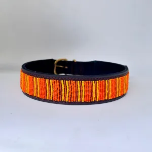 Handmade Maasai Beaded Leather Dog Collar STRIPE DESIGN