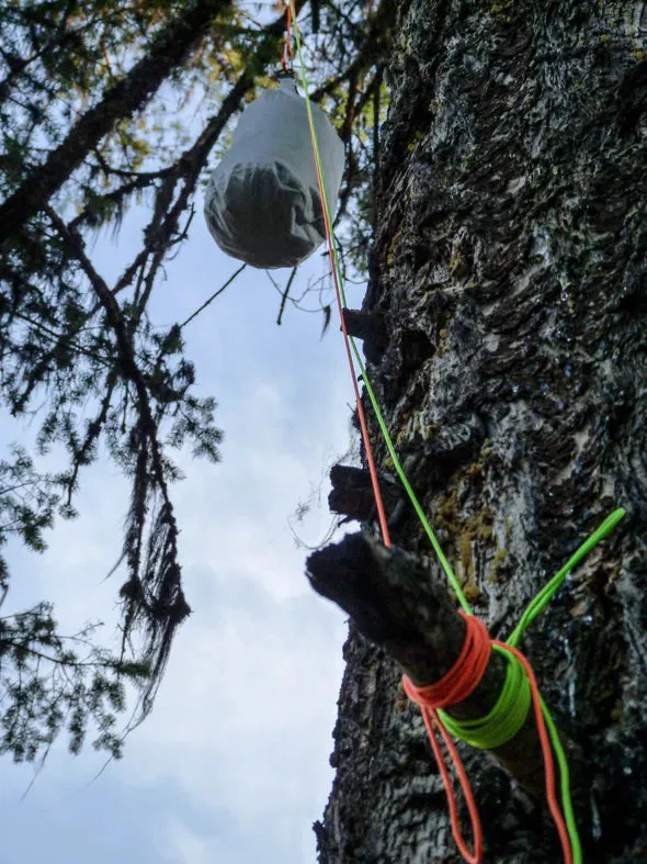 Hanging Food System