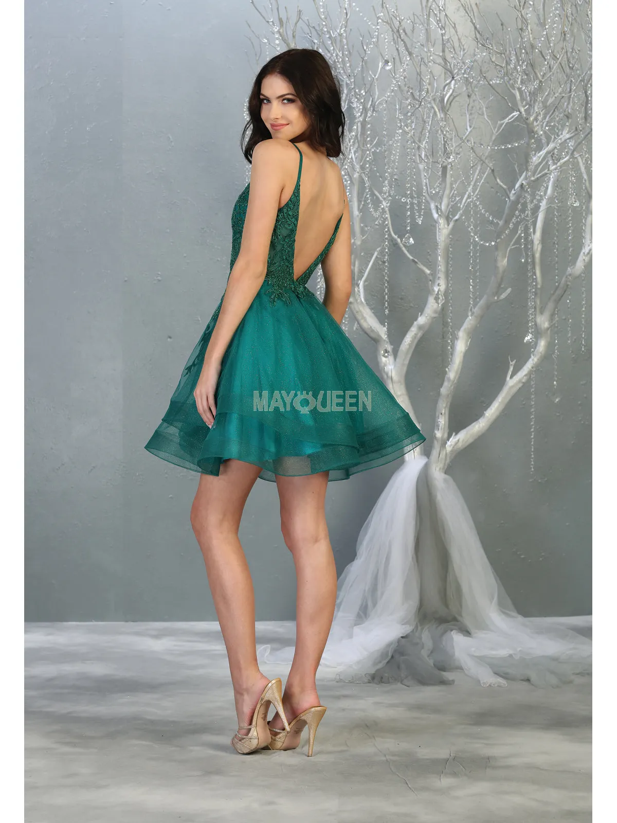 MQ 1816 - Beaded Lace Embroidered A-Line Homecoming Dress with V-Neck Open Back & Tulle Skirt