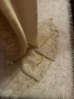 Premium Pure Shimmer Organza Tissue Silk Saree