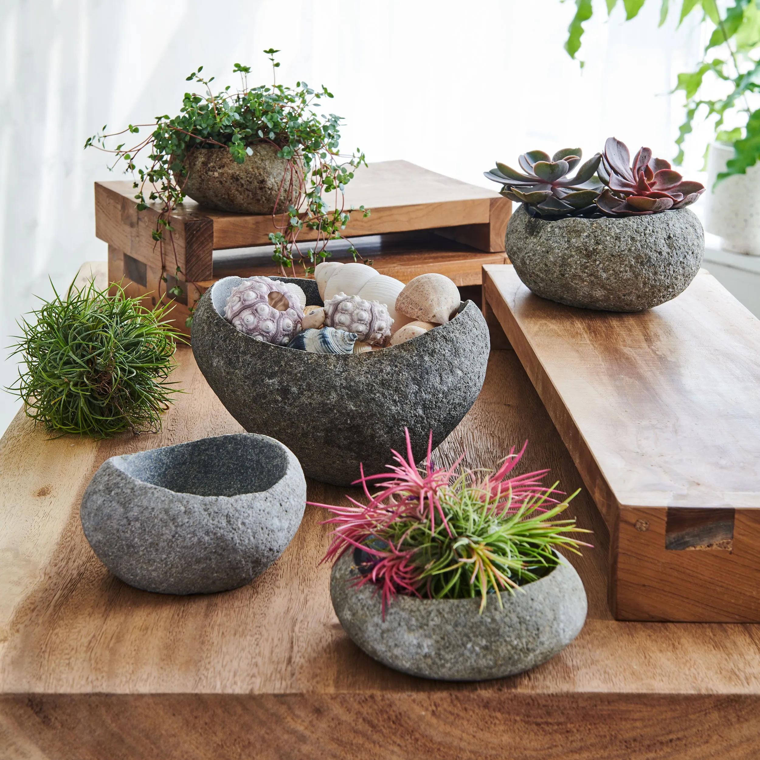 STONESHARD BOWLS (INDONESIA)