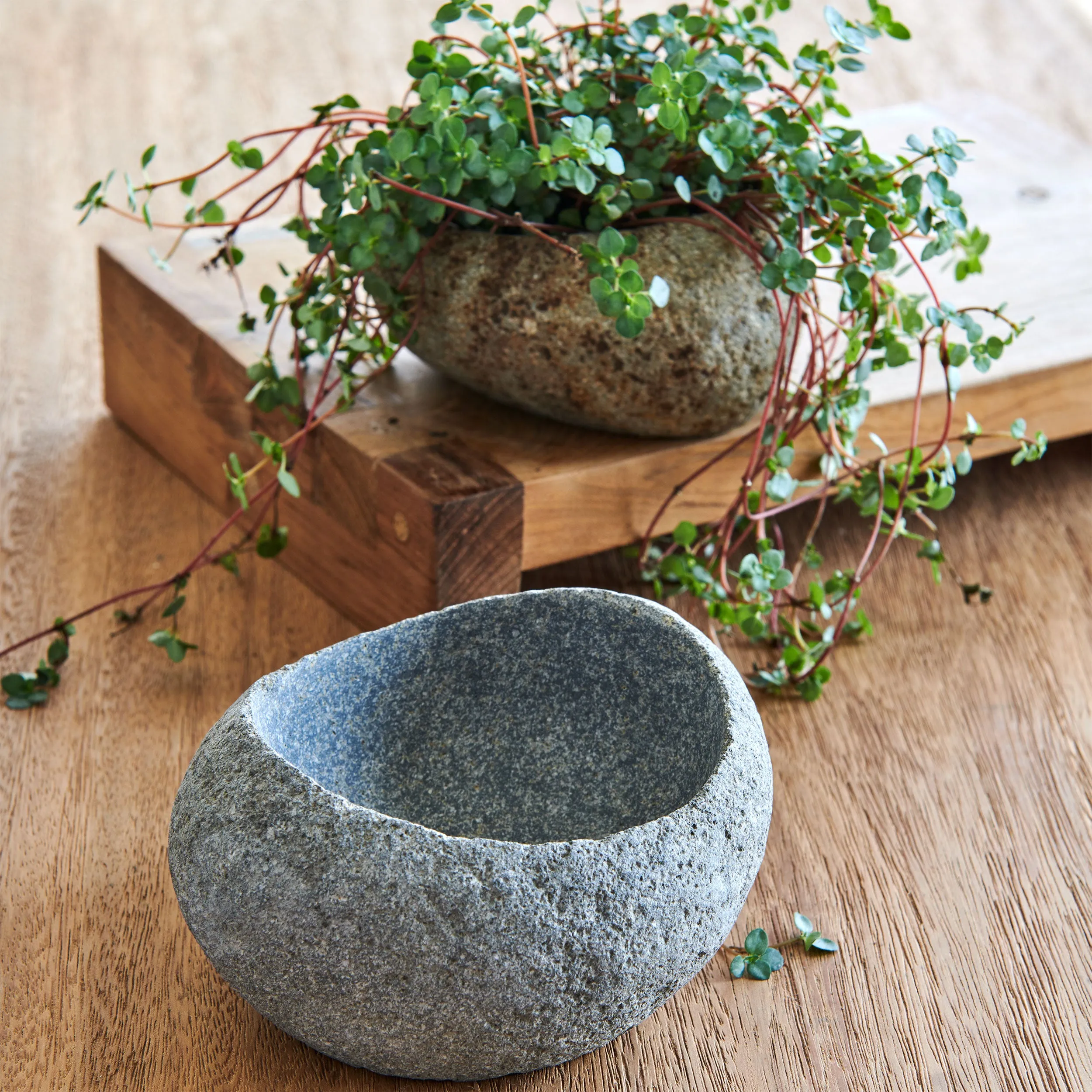 STONESHARD BOWLS (INDONESIA)