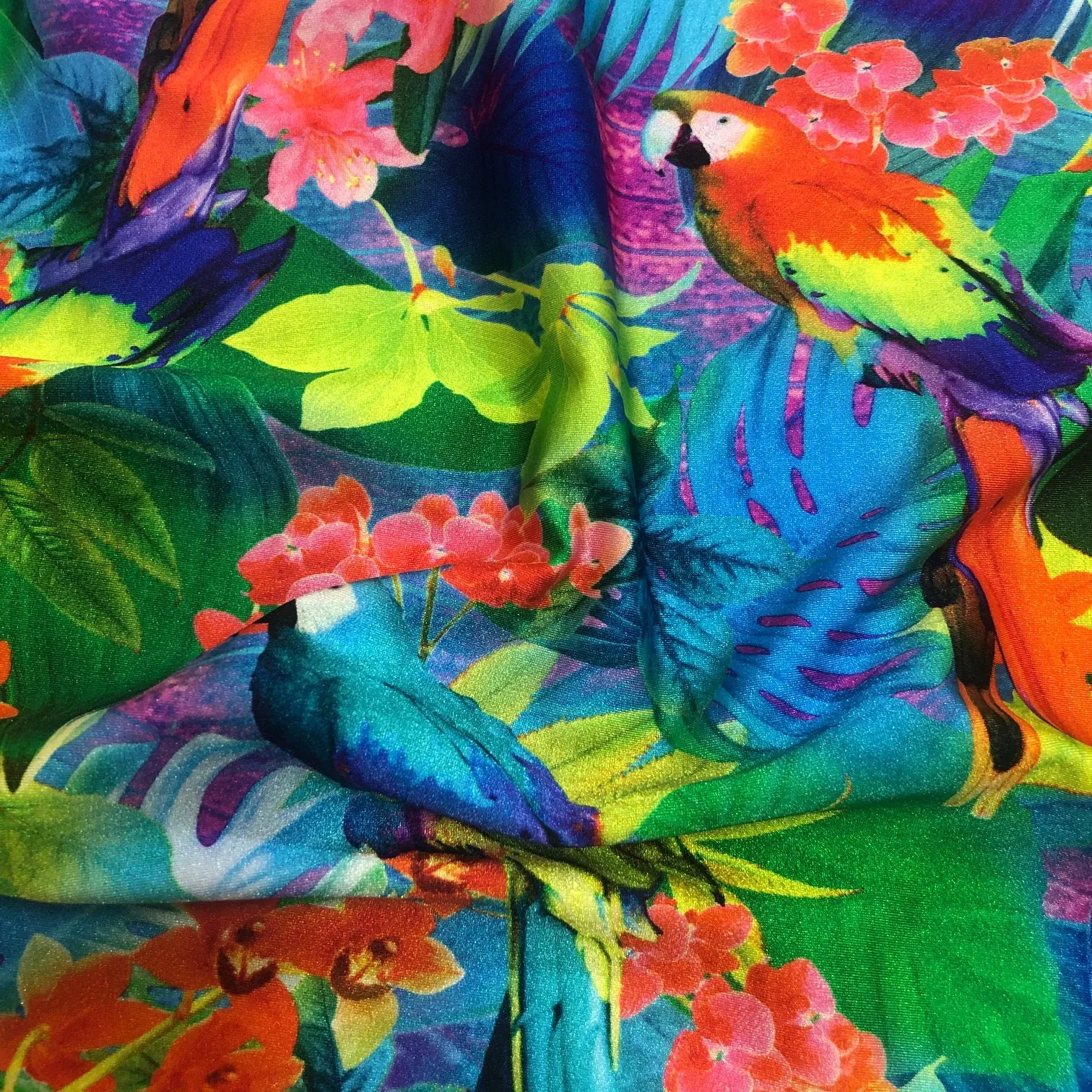 Tropical Paradise