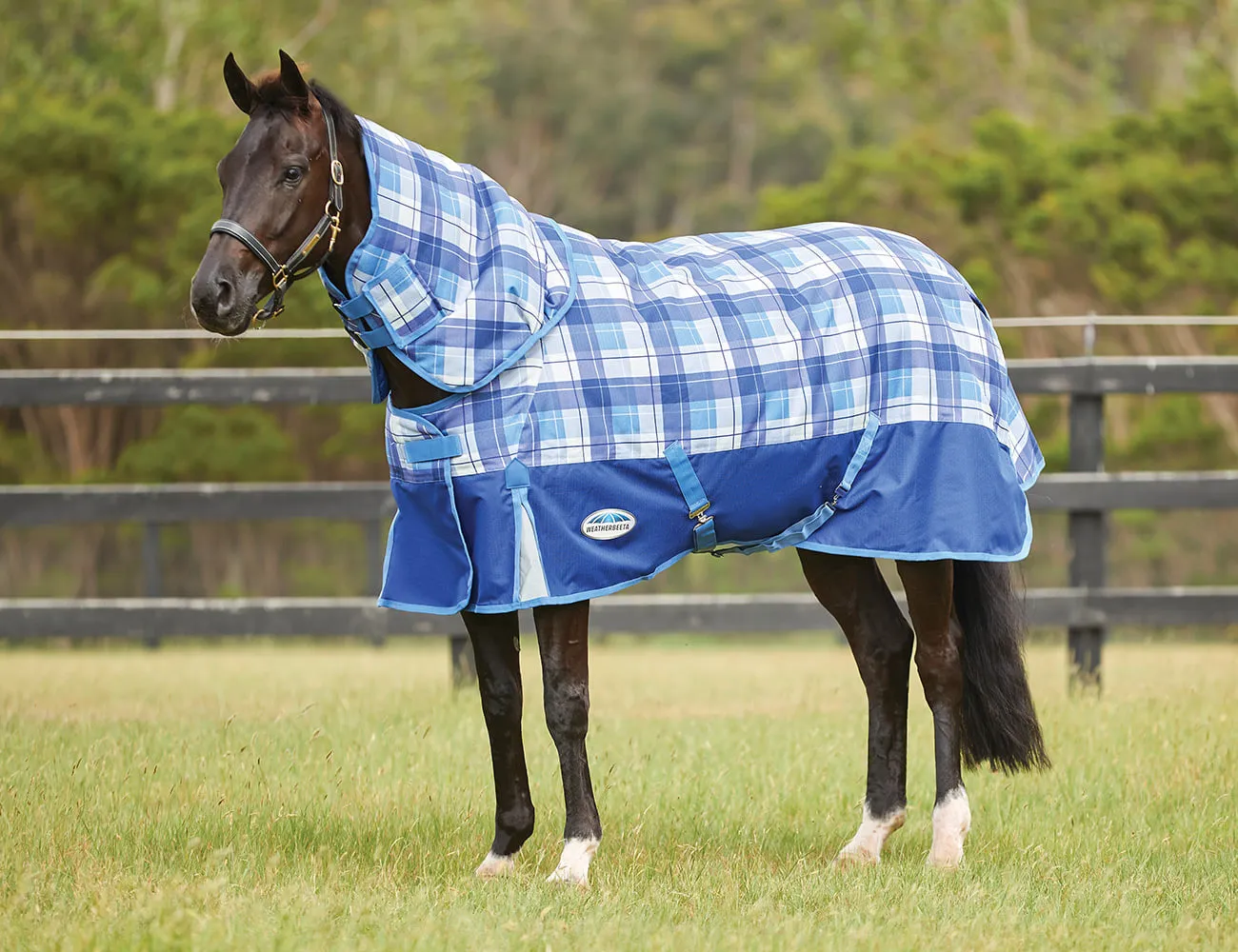 WEATHERBEETA COMFITEC PREMIER FREE DETACH-A-NECK MEDIUM